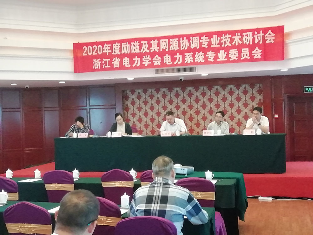 桐鄉2020年度勵磁及其網(wǎng)源協(xié)調專(zhuān)業(yè)技術(shù)研討會(huì )